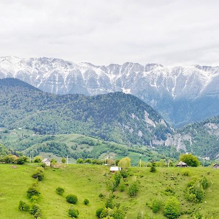 Alpine Escape Studios Măgura Dış mekan fotoğraf