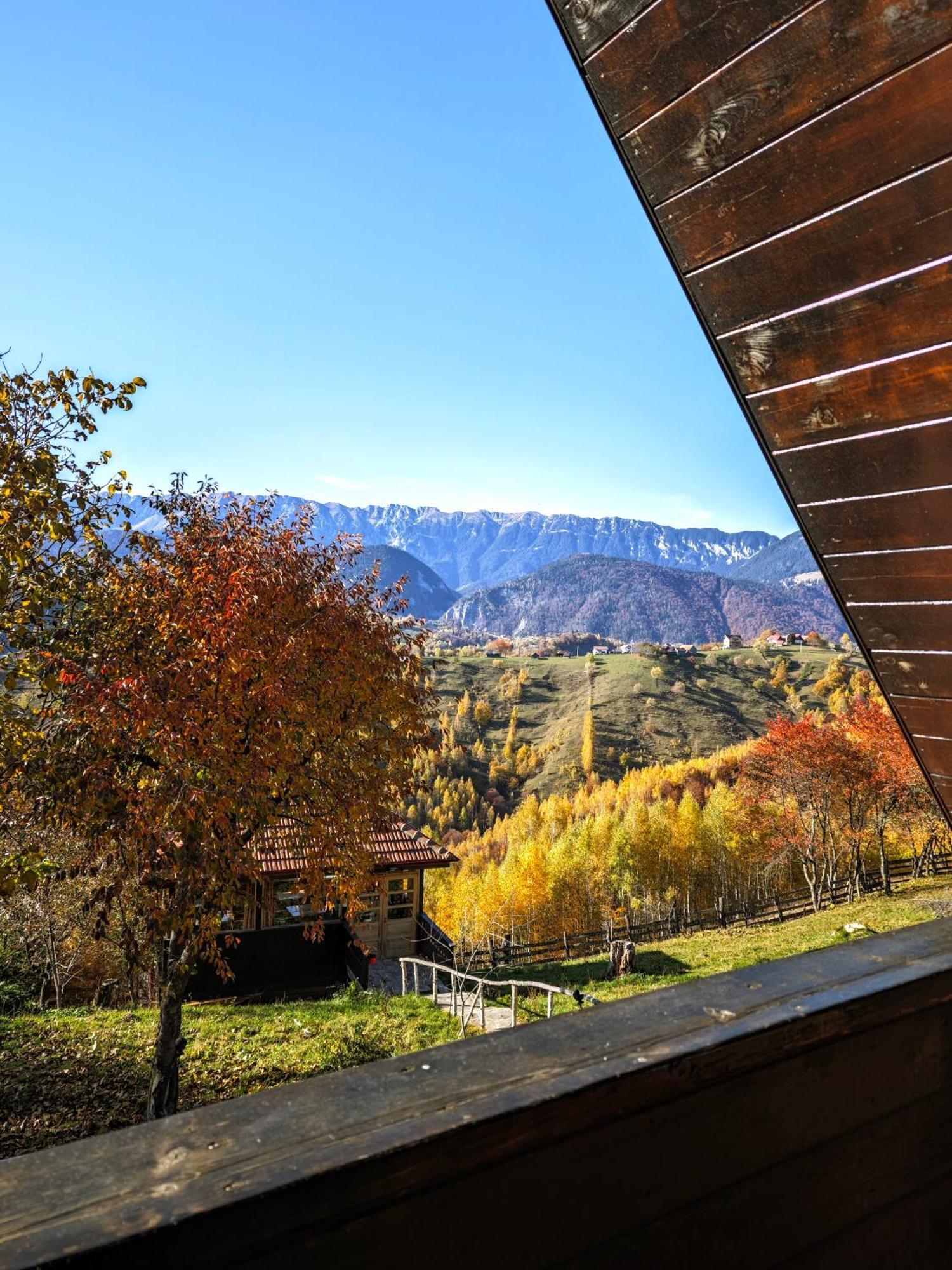Alpine Escape Studios Măgura Dış mekan fotoğraf