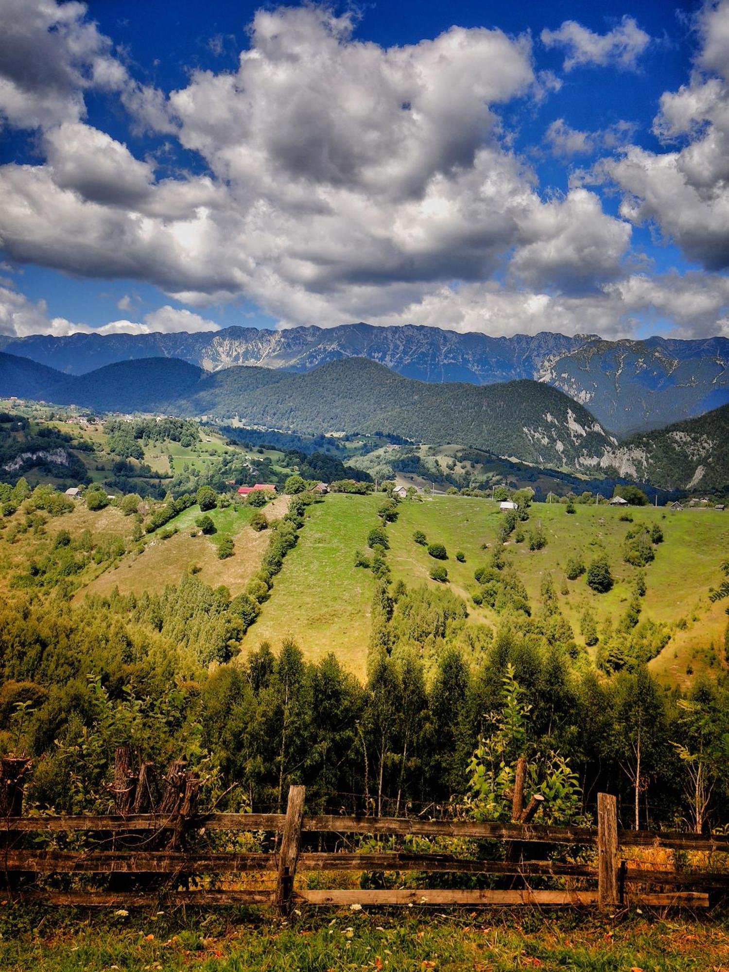 Alpine Escape Studios Măgura Dış mekan fotoğraf